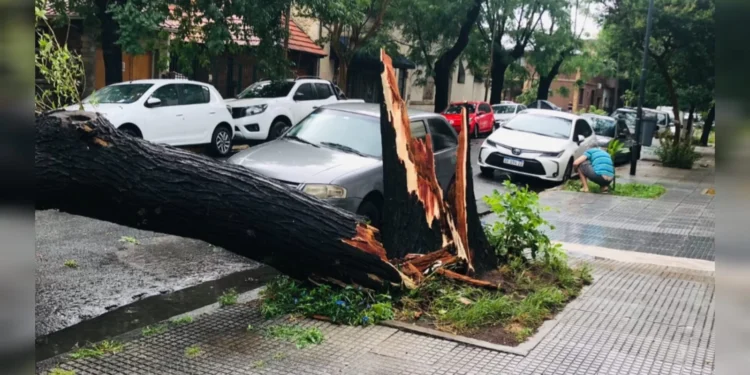 ALERTA: Tempestade que castigou Buenos Aires pode chegar ao Brasil; Veja previsão