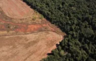 AGU: Infratores ambientais podem ser impedidos de participar de licitações federais