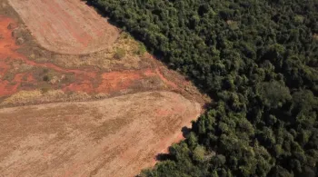 AGU: Infratores ambientais podem ser impedidos de participar de licitações federais