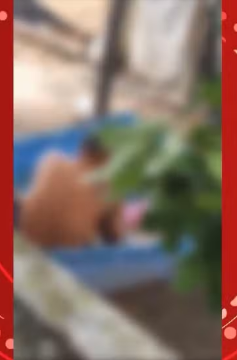 Vídeo gravado por testemunha mostra criança sendo abusada sexualmente na piscina em Alagoas