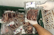 Fiscalização em supermercado da Ponta Verde, em Maceió, apreende 120 kg de carne estragada