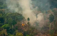 Amazônia bate recorde e tem o maior número de focos de incêndio da história, mostra Inpe
