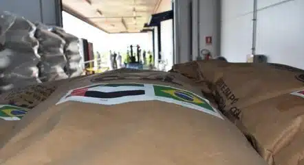 Governo Lula envia 125 toneladas de alimentos para Cuba, enquanto o Brasil tem mais de 20 milhões de pessoas passando fome