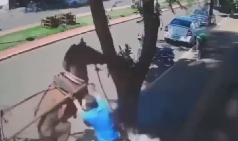 Vereador é atacado por burro em calçada (veja o vídeo)