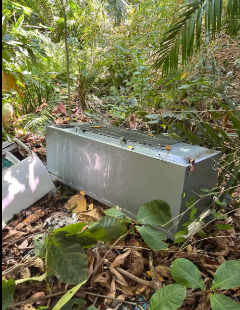 Adolescente filha de mulher achada morta em geladeira é apreendida por participação no crime em Maceió