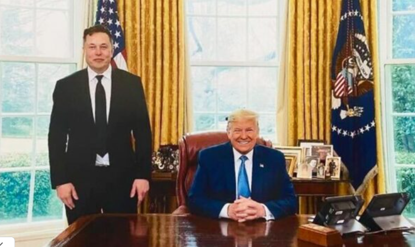 Elon Musk se reúne com Trump em meio a primárias nos EUA