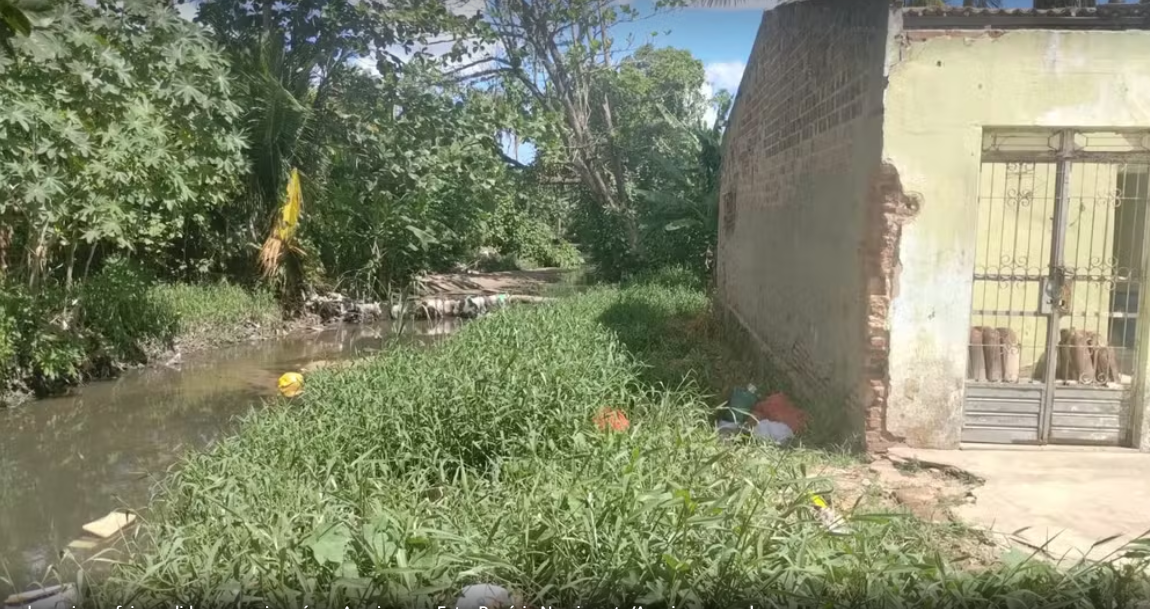 Criança é mordida por jacaré quando brincava de bola perto de um riacho em Arapiraca, AL