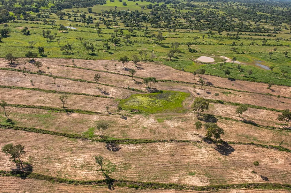 MT é o estado da Amazônia Legal que mais desmatou no 1° bimestre de 2024