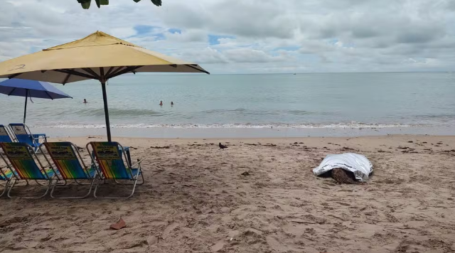 Turista argentina morre na praia da Ponta Verde, em Maceió