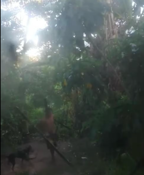 Ministério Público denuncia homem que praticou sexo com cachorro em Maceió