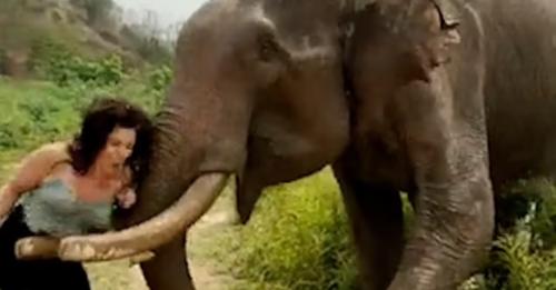 Mulher brinca com elefante e termina esmagada pelo animal