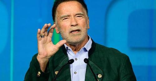 Idosa perde casa e carro para golpista que se passou por Arnold Schwarzenegger