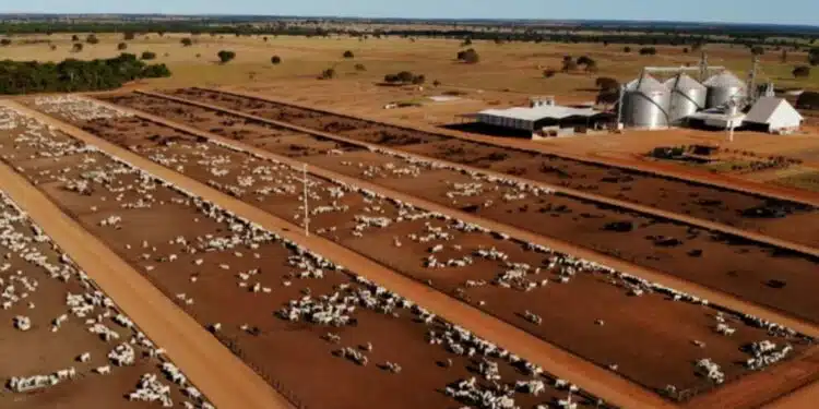 Conheça a maior fazenda do Brasil, que tem o tamanho de 10 países juntos