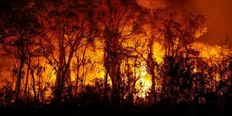 EM CHAMAS: fumaça de incêndios já alcança 60% do território nacional e pode chegar à Argentina