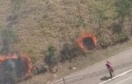 Suspeito põe fogo em mata, causa incêndio gigante e acaba preso ao ser flagrado pela polícia
