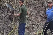 Família de adolescentes mortos durante perseguição policial em AL contesta versão da PM: 'Eles não eram assaltantes'