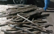 PC prende falsos técnicos furtando cabos de cobre de galeria subterrânea em Maragogi