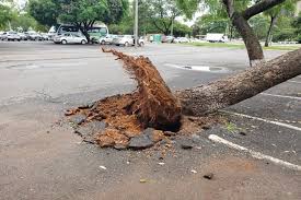 BRASIL: TEMPORAL CAUSA DESTRUIÇÃO E ARRASTA CARROS EM GOIÁS