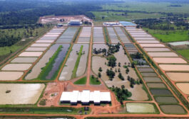 Peixes da Amazônia, projeto inaugurado por Lula, entra em falência e deixa um prejuízo de milhões; VEJA QUANTO