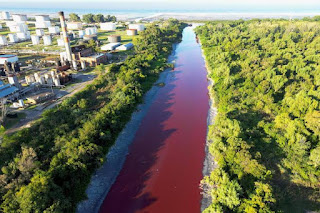MUNDO: “RIACHO DE SANGUE” ASSUSTA MORADORES NA ARGENTINA