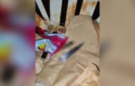 Jovem mata padrasto para defender a mãe em Senador Canedo