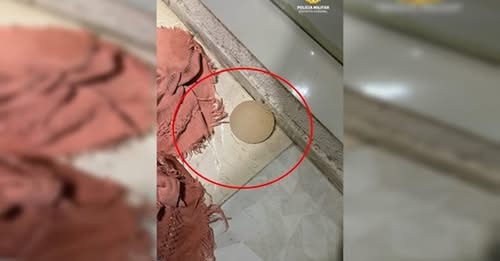 Homem remove silicone da mulher com faca de cozinha após briga