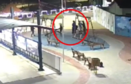 Polícia divulga imagens de criminosos que mataram jovem a tiros em praça de AL