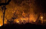 Prevenção de incêndios no Cerrado terá R$ 1 milhão