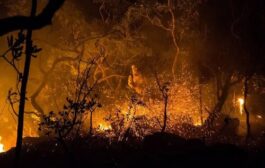 Prevenção de incêndios no Cerrado terá R$ 1 milhão