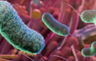 Aumento do câncer em jovens pode ter ligação com bactérias intestinais