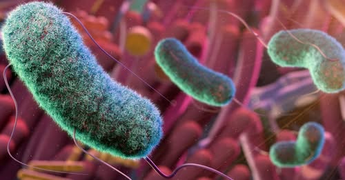 Aumento do câncer em jovens pode ter ligação com bactérias intestinais