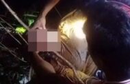 Homem encontra mãe morta com a cabeça na boca de cobra gigante