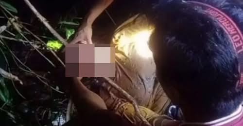 Homem encontra mãe morta com a cabeça na boca de cobra gigante