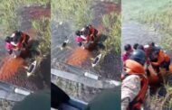 VÍDEO: Grupo sobrevive a queda de avião em pântano com jacarés na Amazônia Boliviana