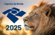 Prazo para a entrega da declaração do Imposto de Renda termina dia 30 de maio
