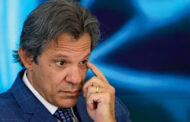 VÍDEO: HADDAD TOMA ENQUADRO DE MARCEL VAN HATTEM NA CÂMARA