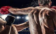 VÍDEO: PARLAMENTARES MARCAM ENFRENTAMENTO EM LUTA DE BOXE