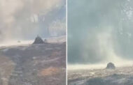 BRASIL: REDEMOINHO DE CINZAS IMPRESSIONA BOMBEIROS EM GOIÁS