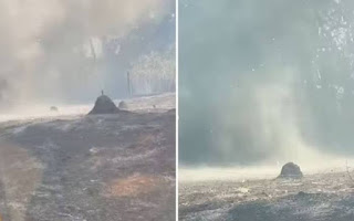 BRASIL: REDEMOINHO DE CINZAS IMPRESSIONA BOMBEIROS EM GOIÁS