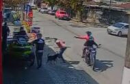 BRASIL: CÃO DEFENDE DONO EM TENTATIVA DE ROUBO E FRUSTRA CRIMINOSO