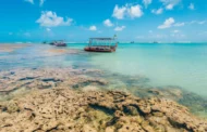Praia do Patacho tem selo Bandeira Azul renovado pelo 5º ano seguido