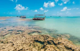 Praia do Patacho tem selo Bandeira Azul renovado pelo 5º ano seguido