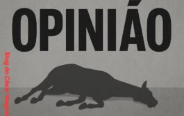 A TEORIA DO SISTEMA MORTO