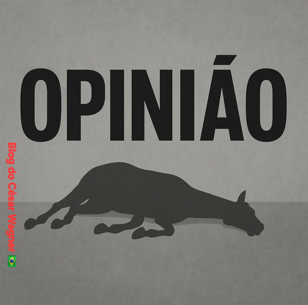 A TEORIA DO SISTEMA MORTO