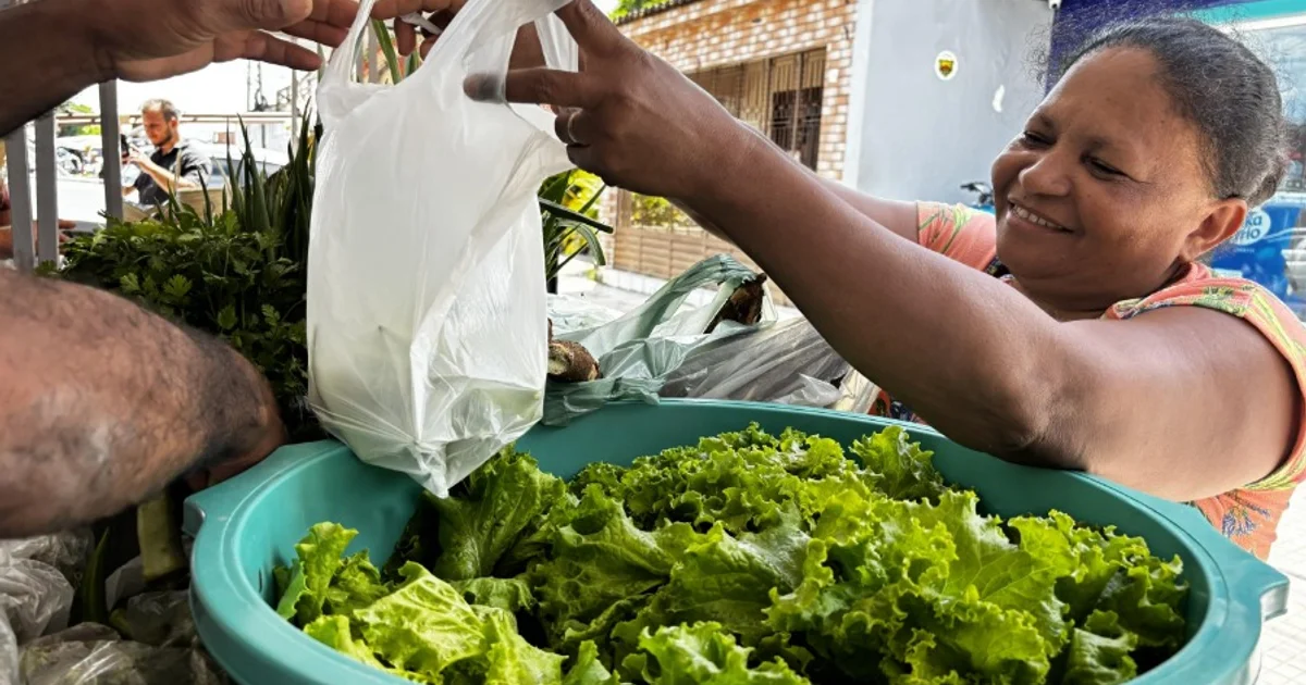 Agricultura familiar mostra sua força no encerramento do Circuito Regional de Feiras