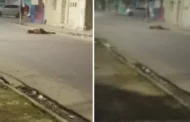 Homem é executado a tiros durante a madrugada no bairro Ponta Grossa, em Maceió