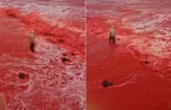MUNDO: CHUVA “PINTA” O MAR DE VERMELHO NO IRÃ