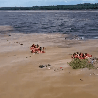 BRASIL: BARCO AFUNDA E 70 PASSAGEIROS FICAM À DERIVA EM MANAUS