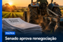 Senado aprova programa para renegociar dívidas rurais; governo alerta para impacto bilionário